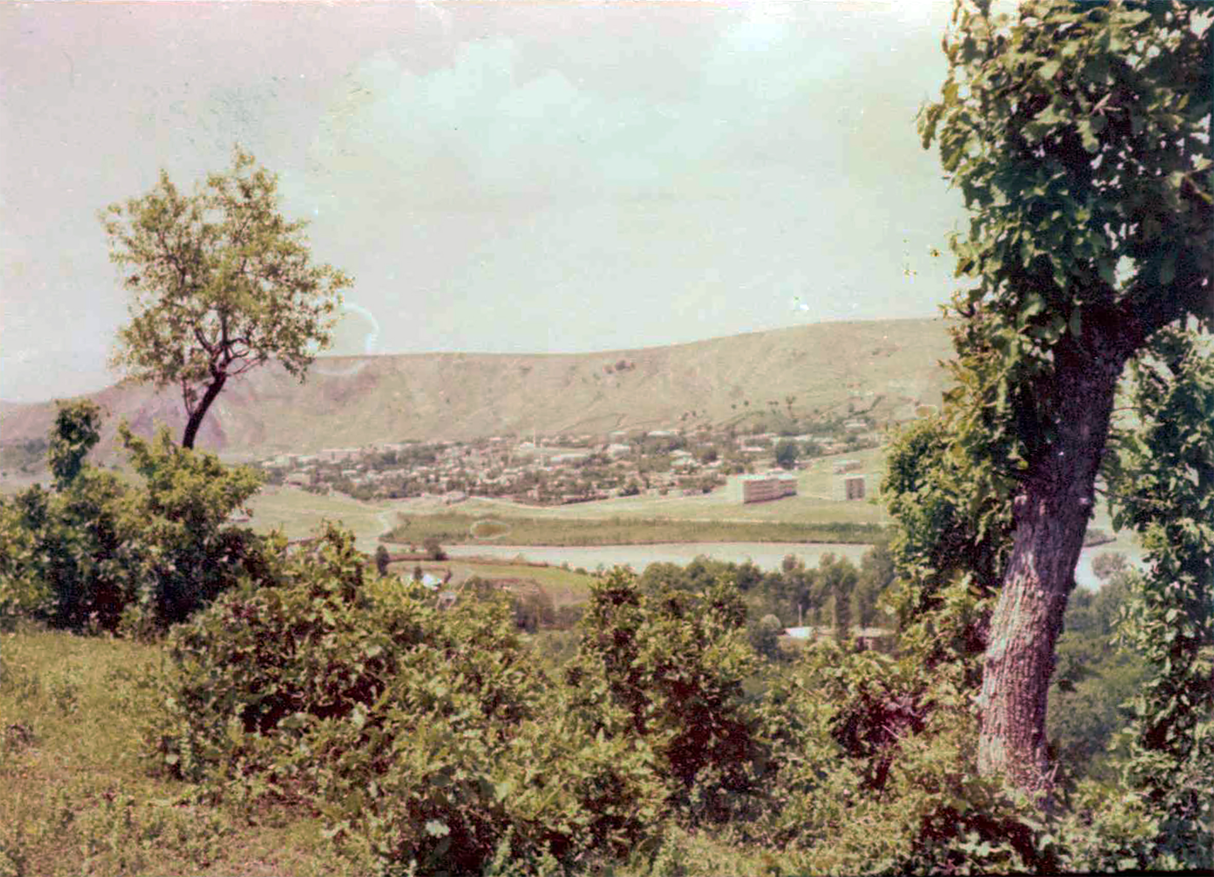 PALU - 03.10.1981 
Murat Bilgin Ar?ivi